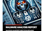 do professional malware analysis and reverse engineering with a technical report